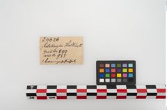 Etikett zu Bronzeschüssel (NHMW-PRAE-024626)